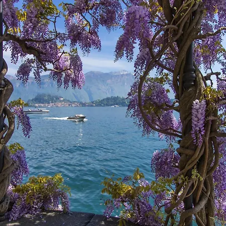 公寓 Il Panorama Di Forster *